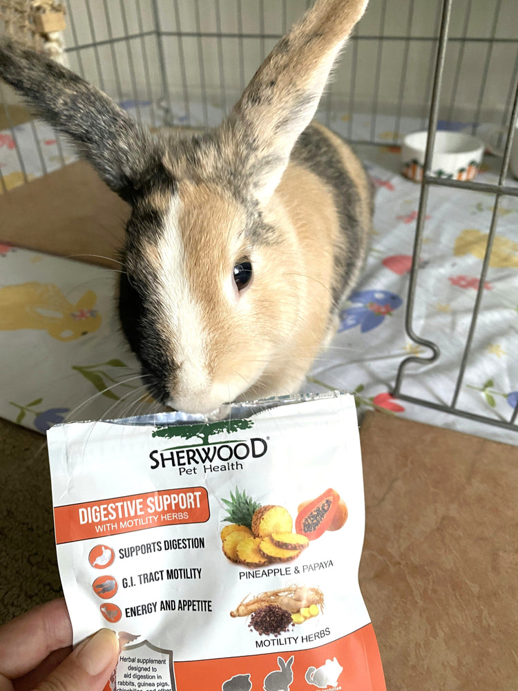 Supplement Support