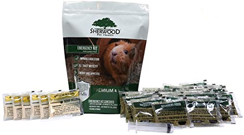 A package of Sherwood Pet Health Premium & Natural Recovery Food for guinea pigs, showing the product and a feeding syringe.