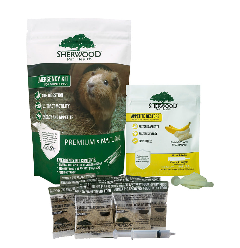 Small Emergency Guinea Pig Kit with Recovery Food and Appetite Restore