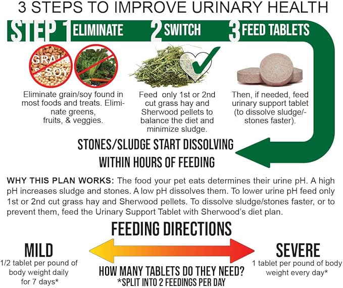 Showing steps on how to improve rabbit, guinea pig and chinchilla urinary health