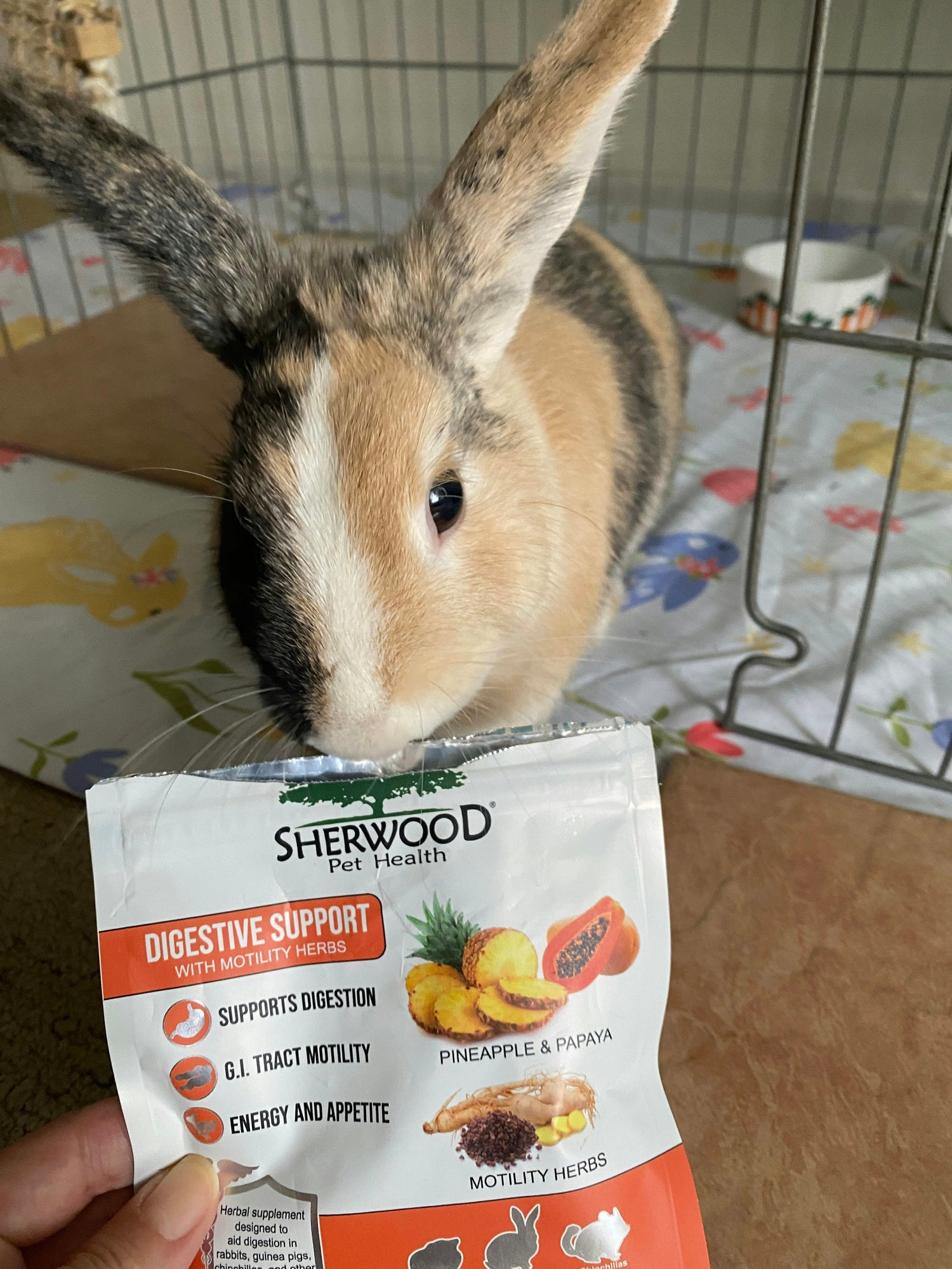 Supplement Support