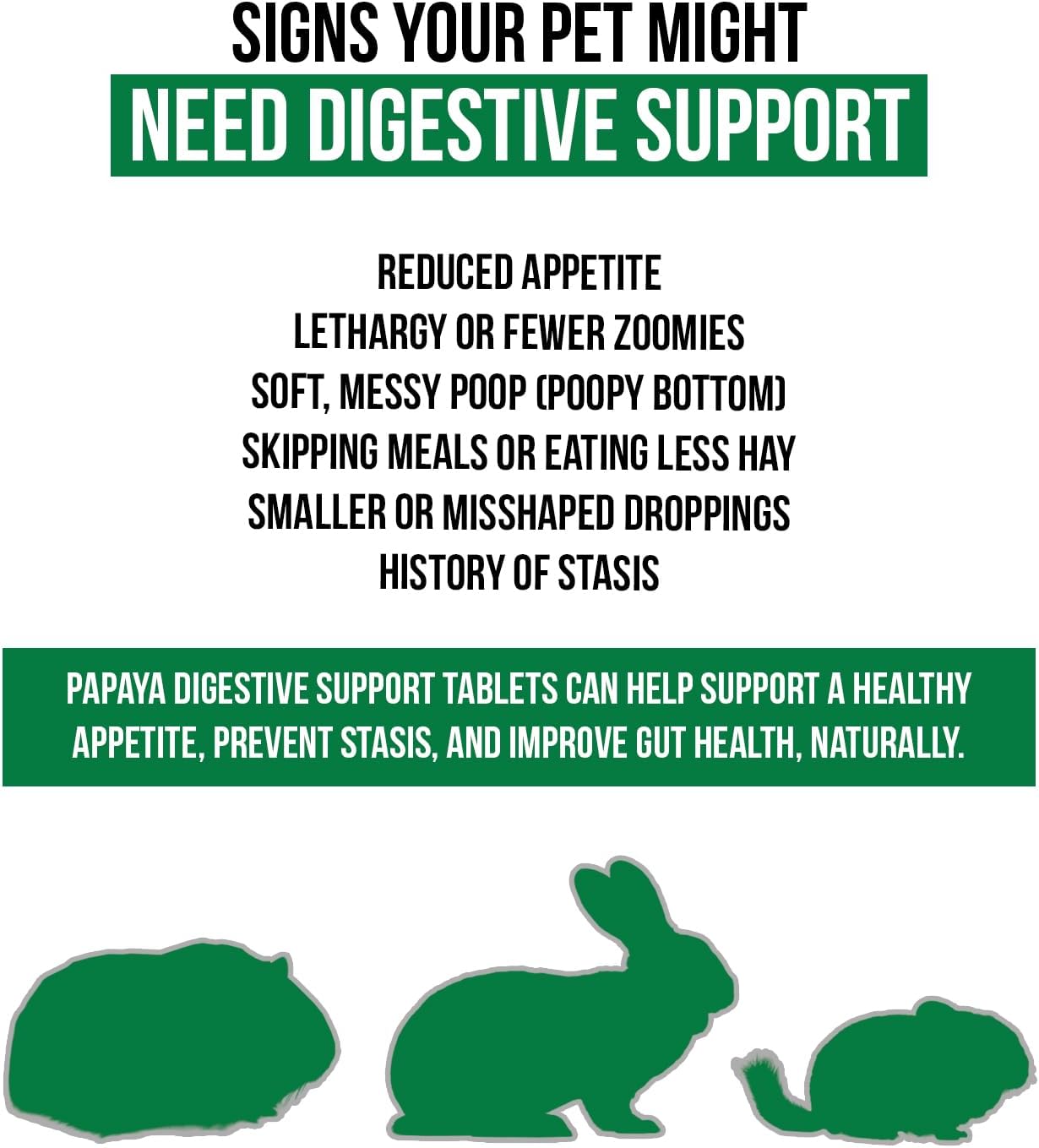 Digestive Support Tablet