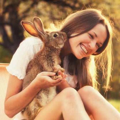 Digestive Support Tablet