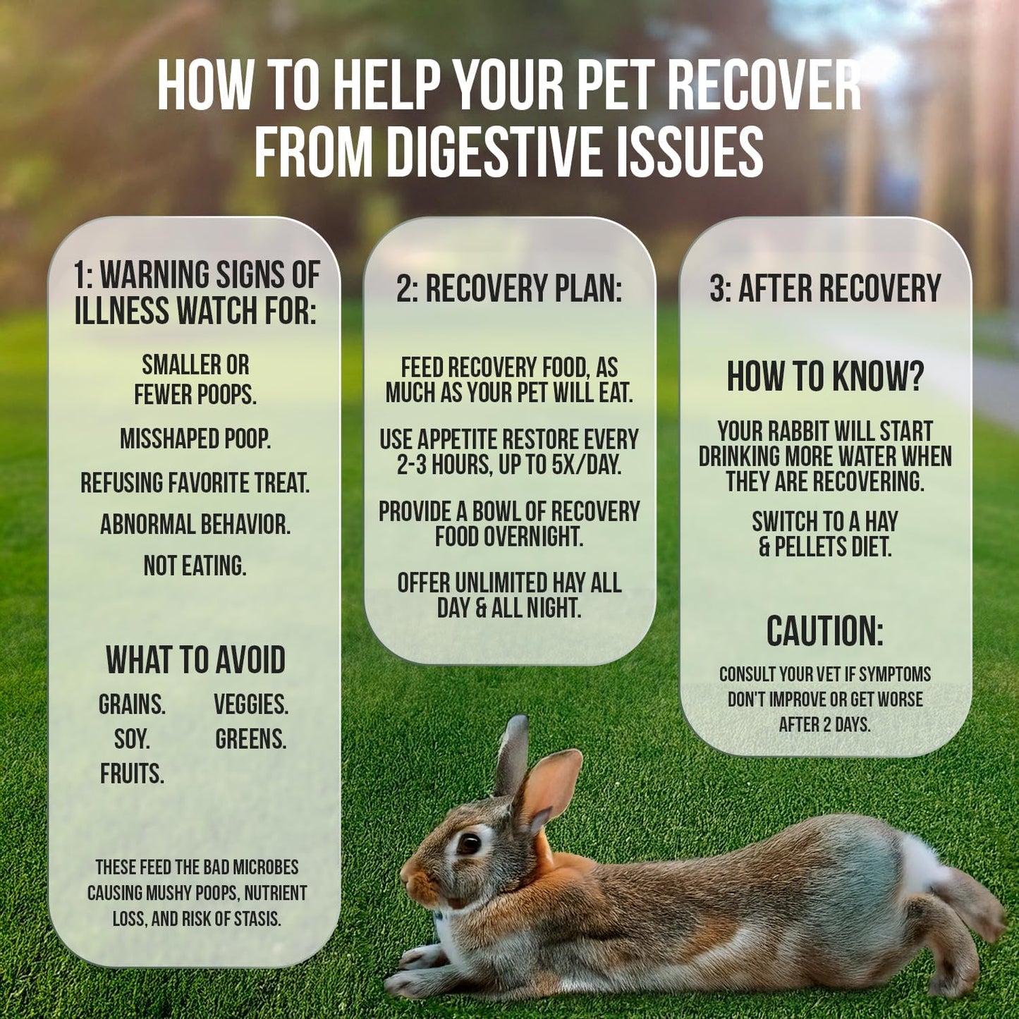 Bulk Recovery Food and/or Emergency Kits for Rabbits