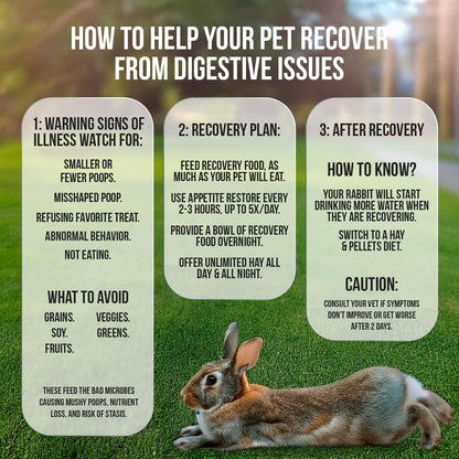 Bulk Recovery Food and/or Emergency Kits for Rabbits
