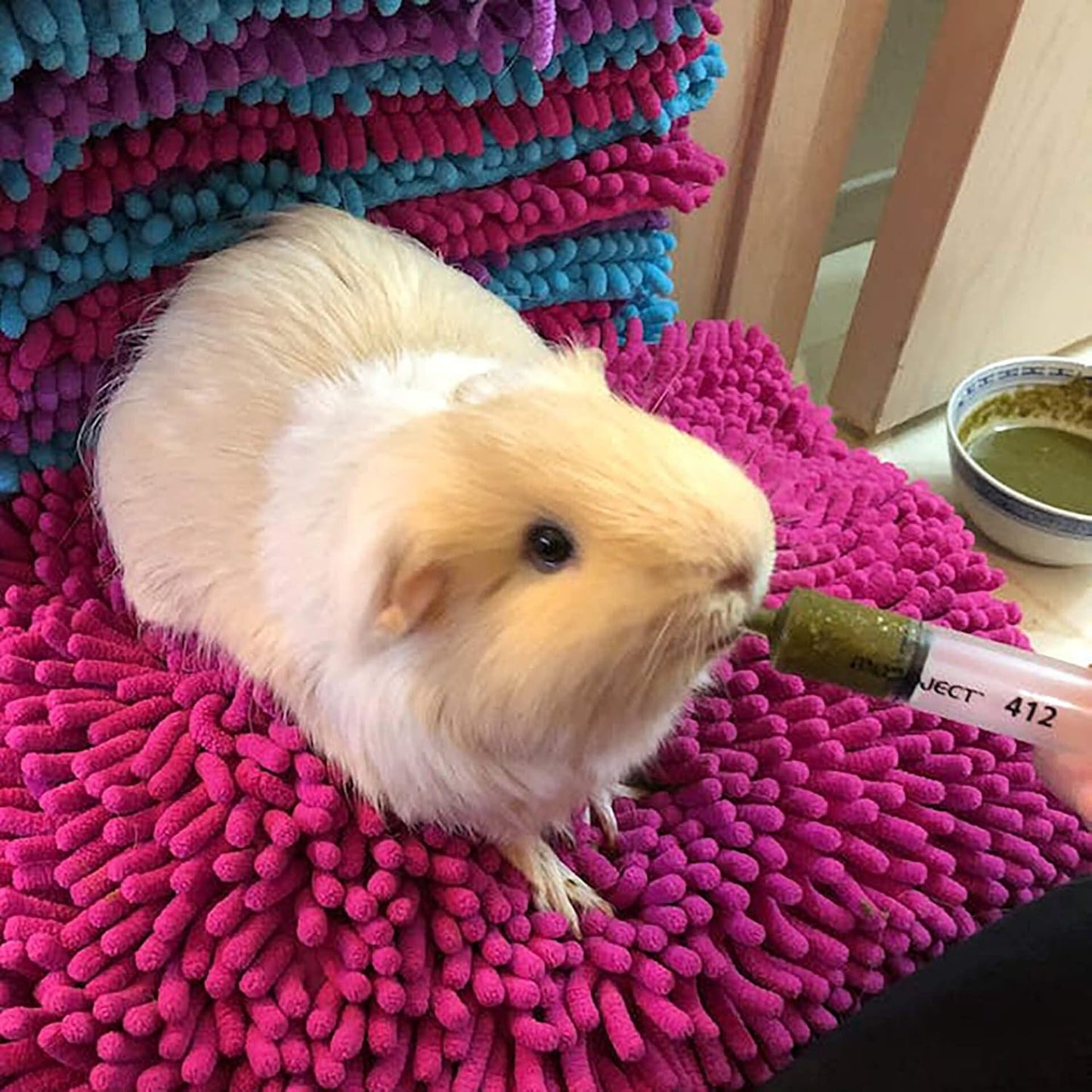 Bulk Recovery Food and/or Emergency Kits for Guinea Pigs