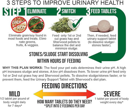 Showing steps on how to improve rabbit, guinea pig and chinchilla urinary health 