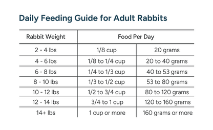 Fiber Fundamentals
